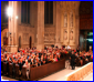 StPatricks_Cathedral(3).jpg